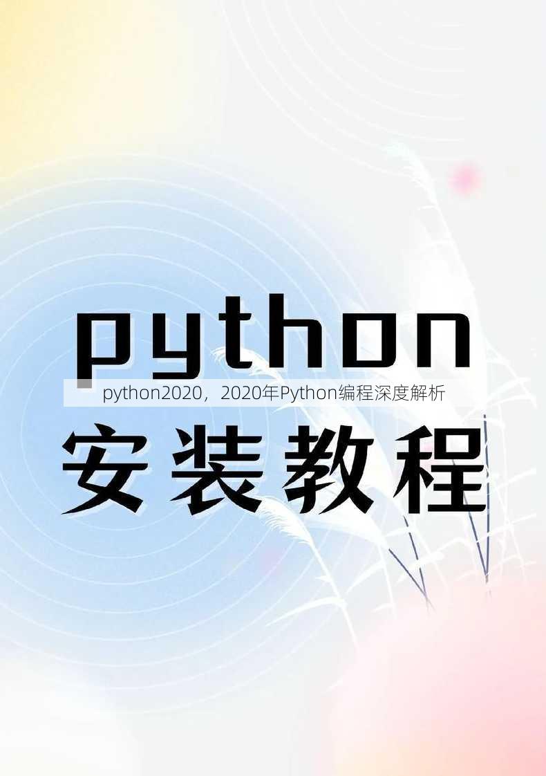 python2020