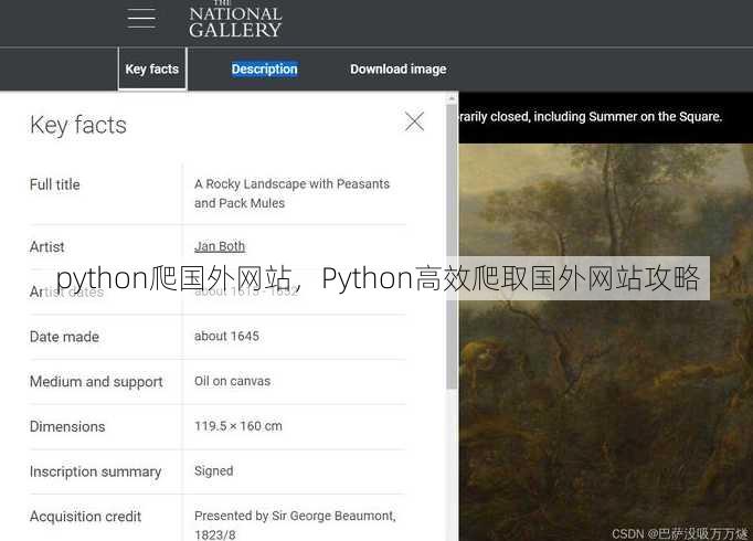 python爬国外网站