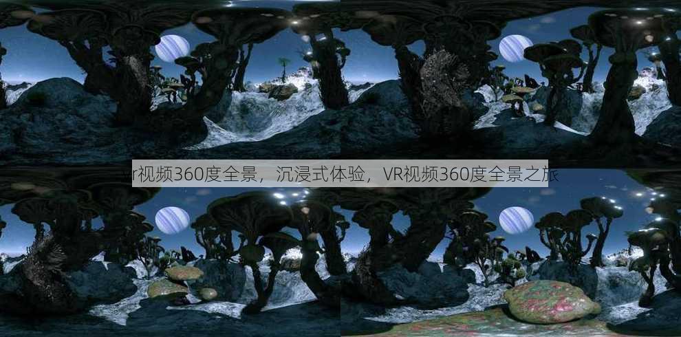 vr视频360度全景