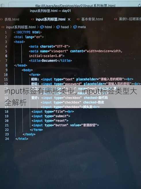 input标签有哪些类型