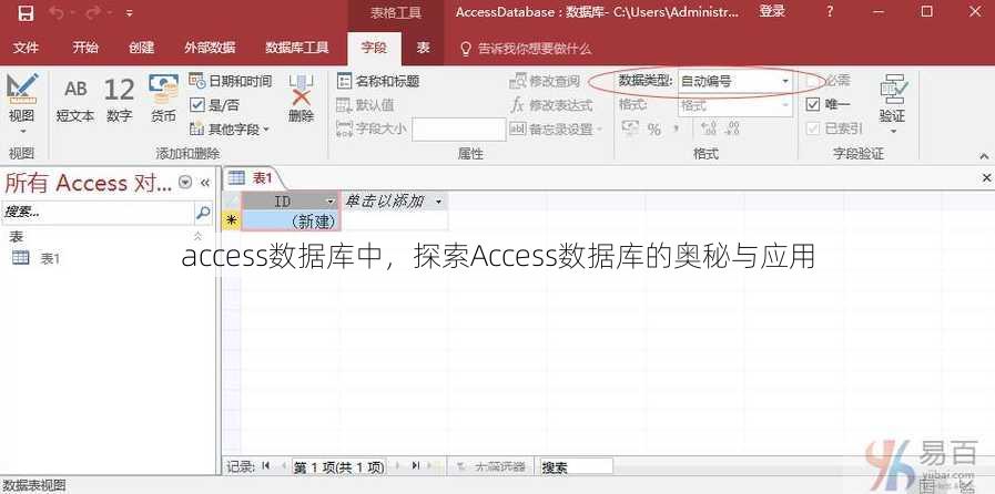 access数据库中