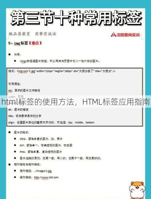 html标签的使用方法