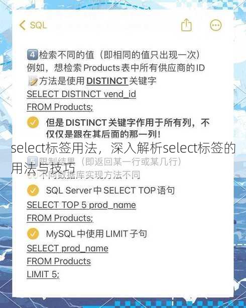 select标签用法