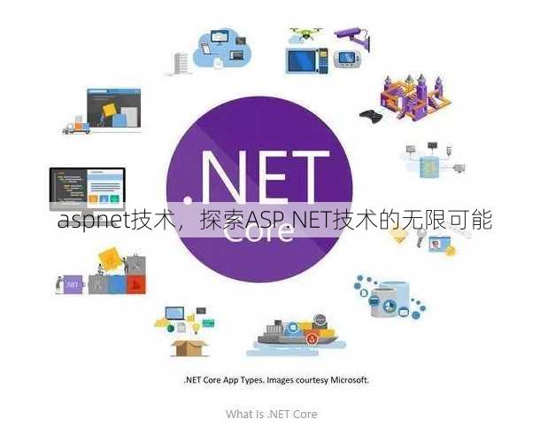 aspnet技术
