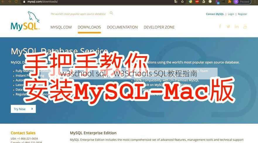 w3school sql