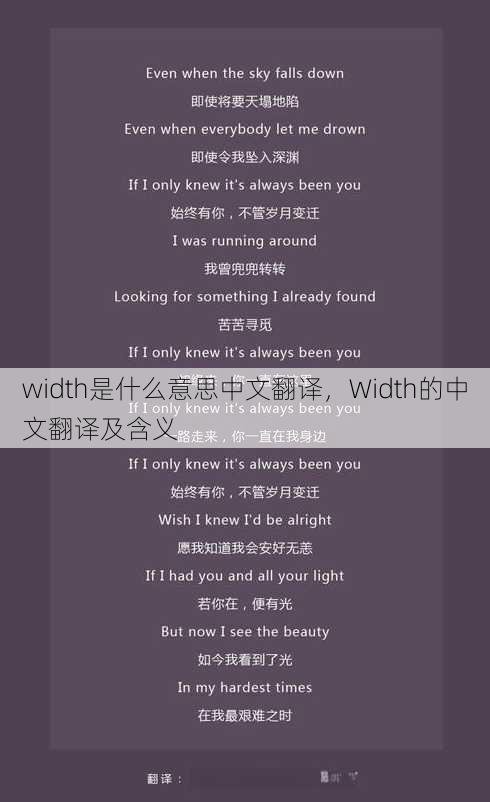 width是什么意思中文翻译