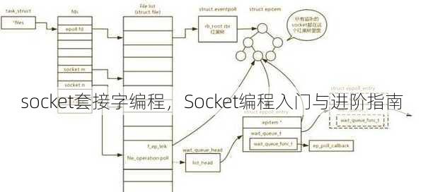 socket套接字编程