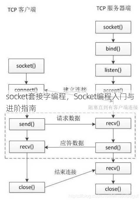 socket套接字编程