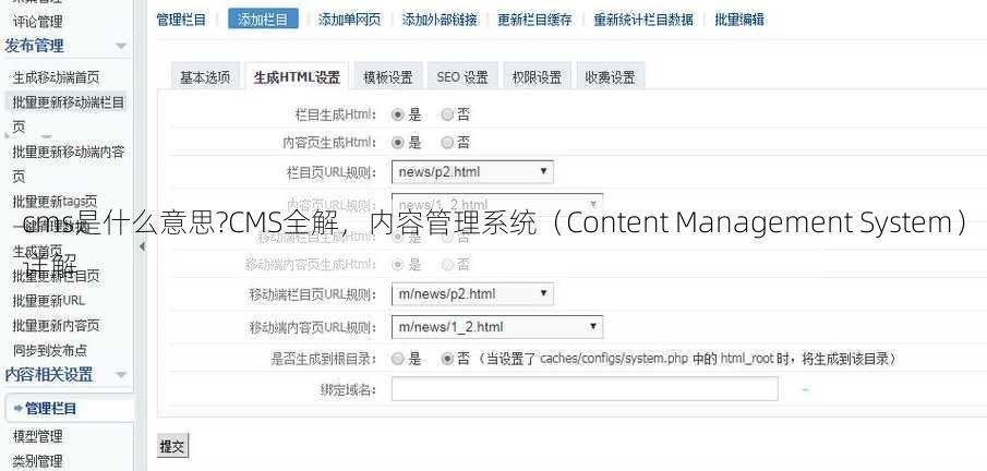 cms是什么意思?