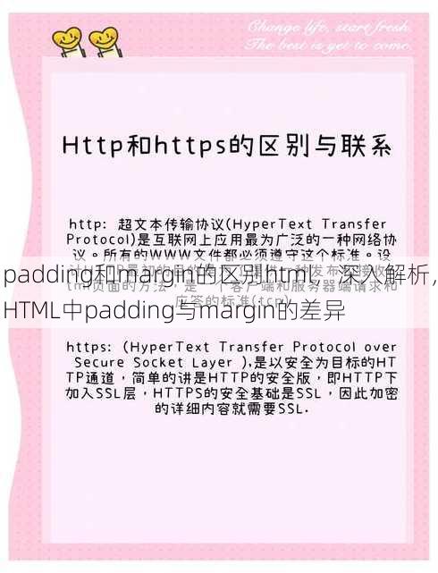 padding和margin的区别html