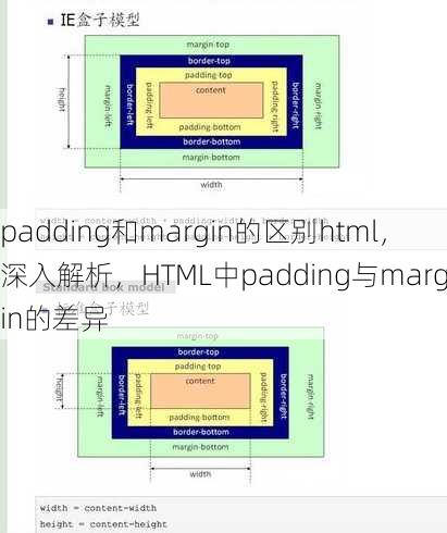 padding和margin的区别html
