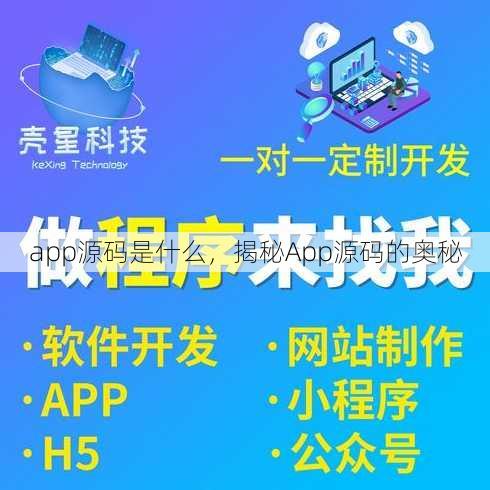 app源码是什么
