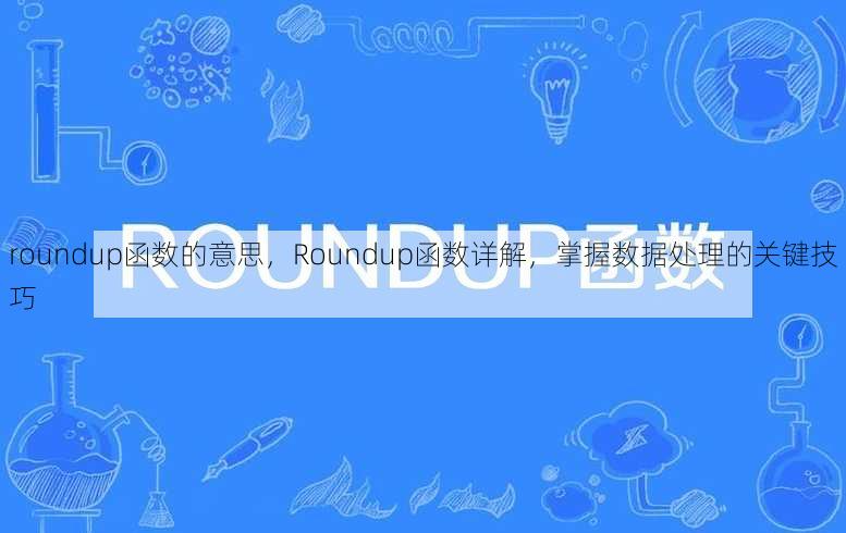 roundup函数的意思