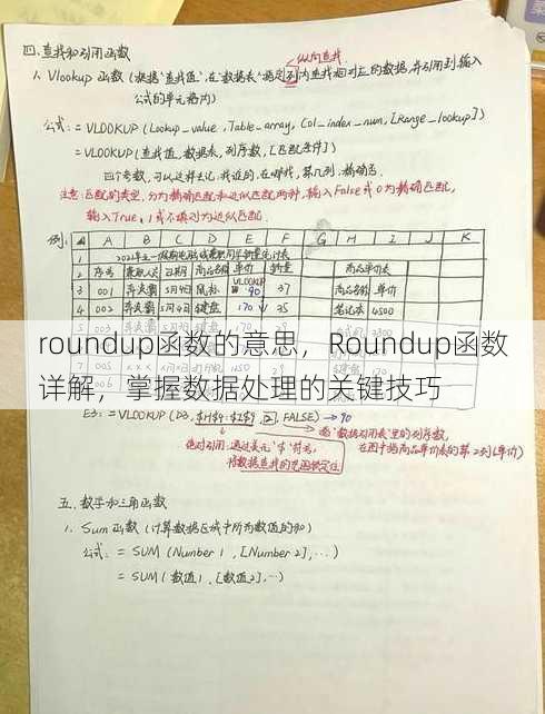 roundup函数的意思