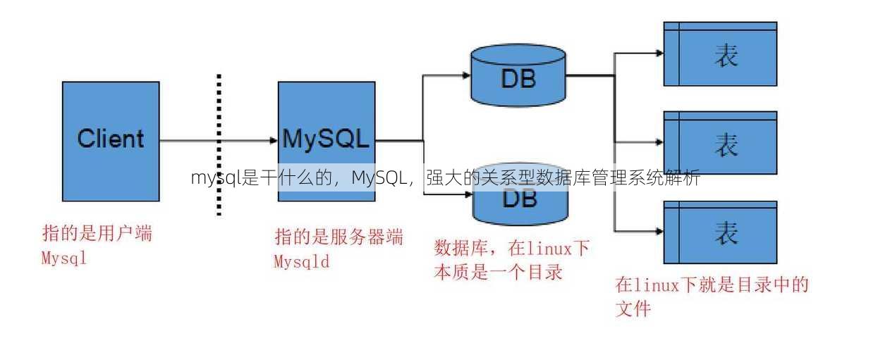 mysql是干什么的