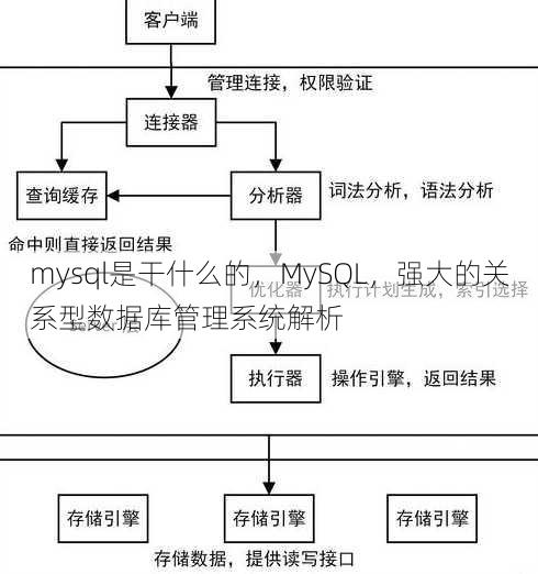 mysql是干什么的