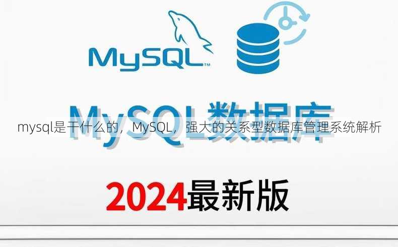 mysql是干什么的