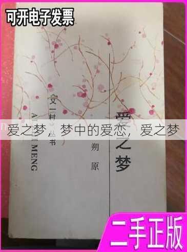 爱之梦