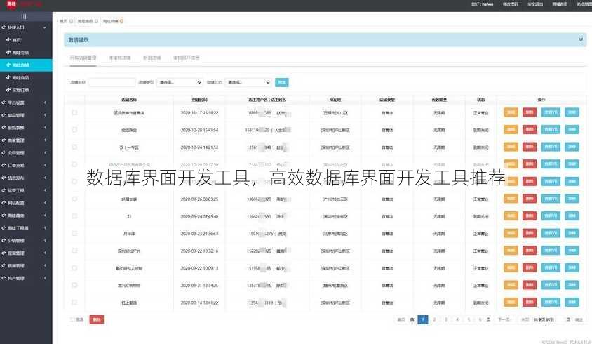 数据库界面开发工具