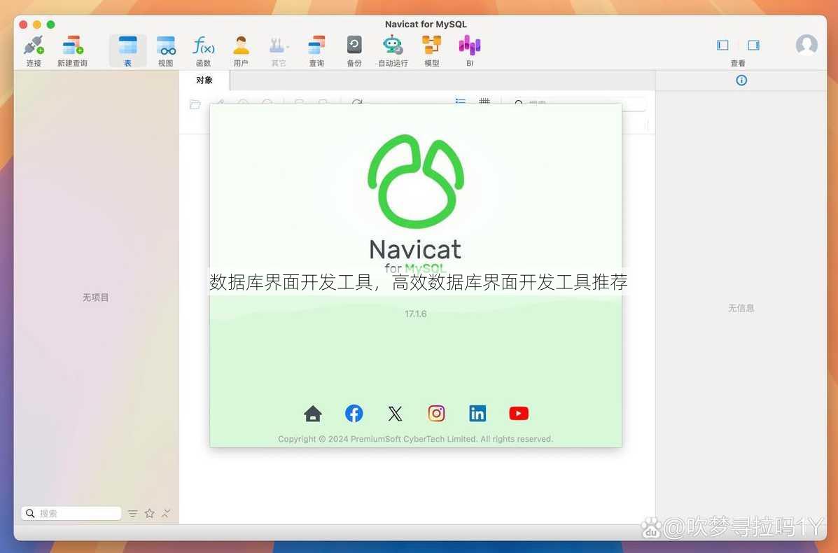 数据库界面开发工具