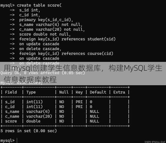 用mysql创建学生信息数据库