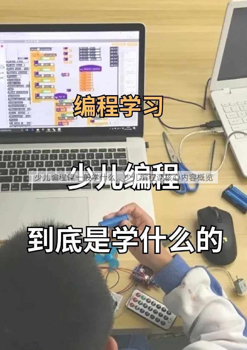 少儿编程课一般学什么