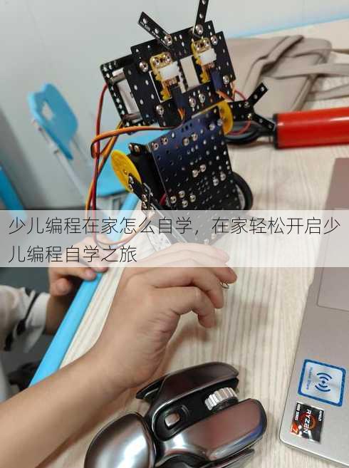 少儿编程在家怎么自学