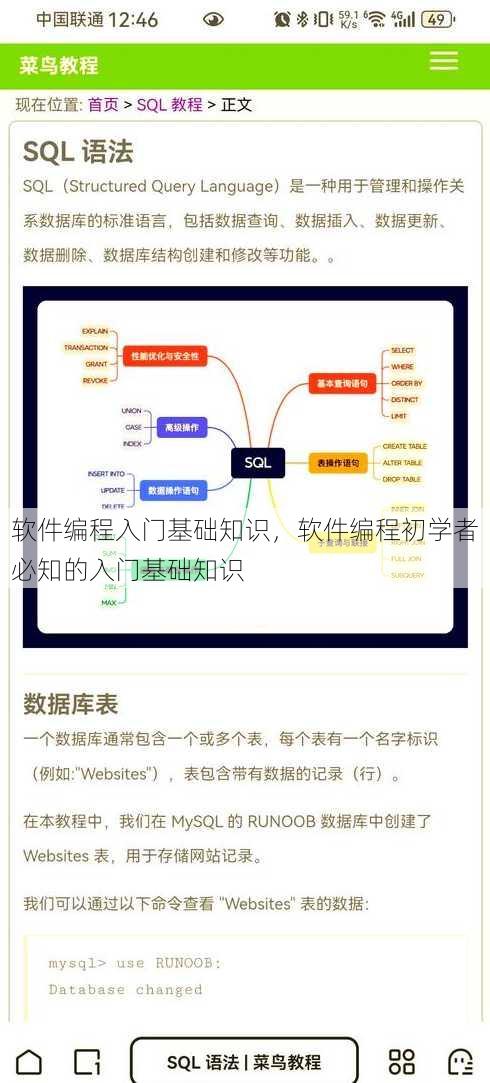 软件编程入门基础知识
