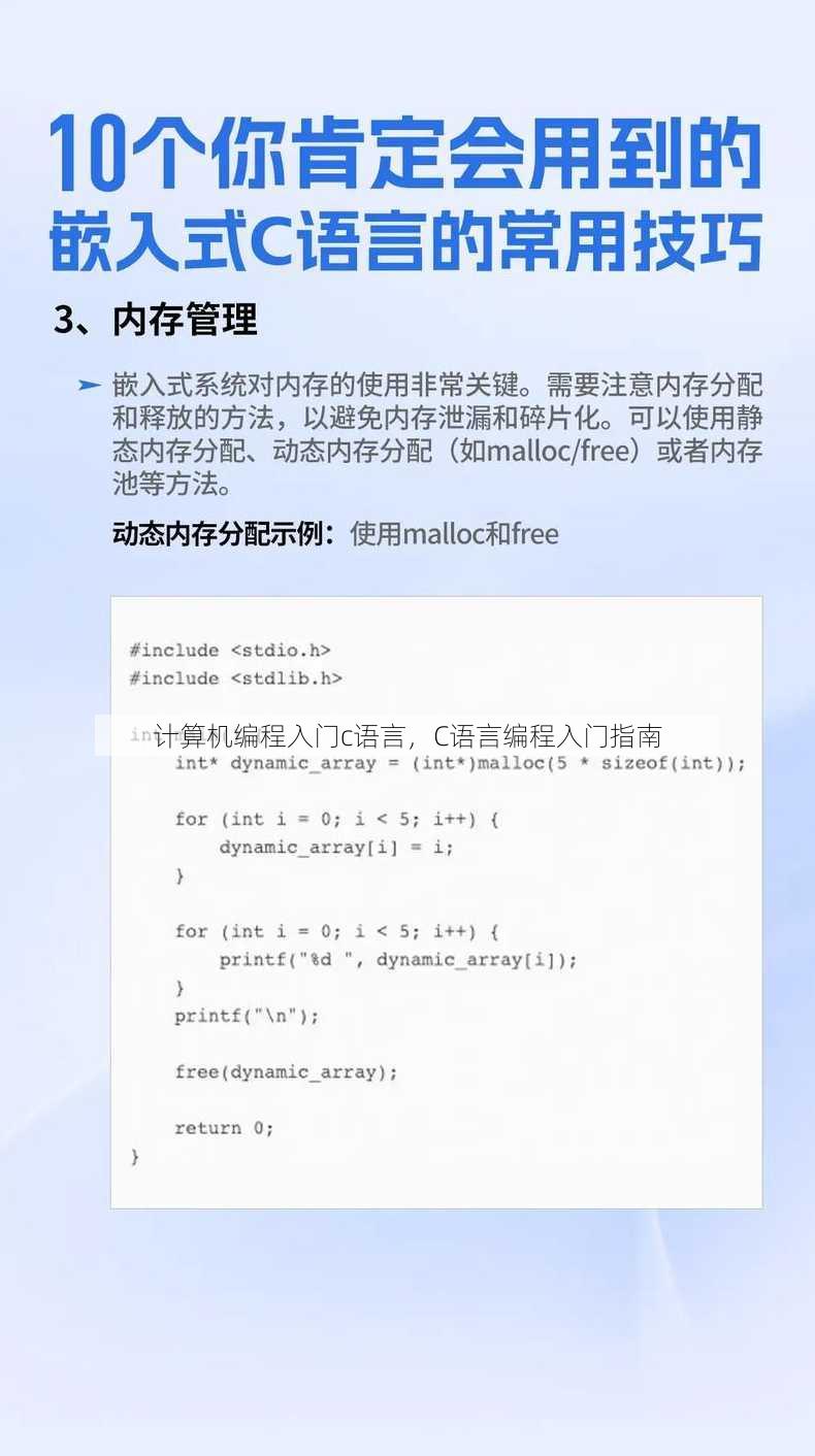 计算机编程入门c语言