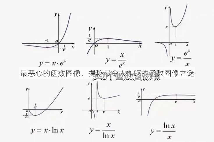 最恶心的函数图像