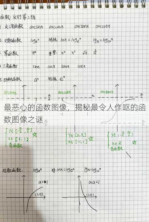 最恶心的函数图像