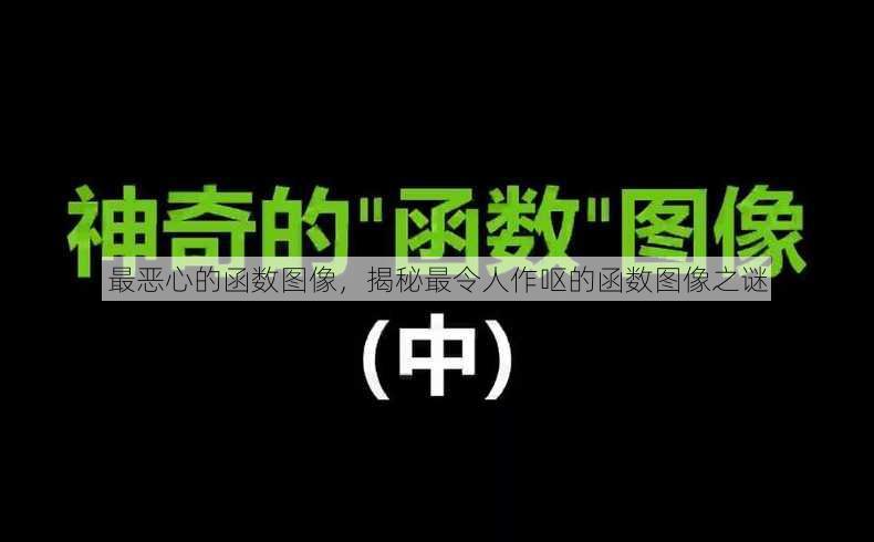 最恶心的函数图像