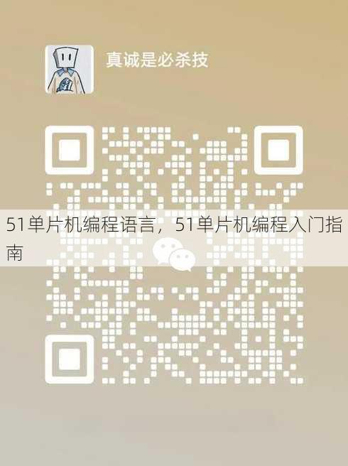 51单片机编程语言