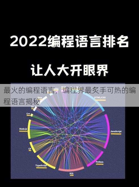 最火的编程语言