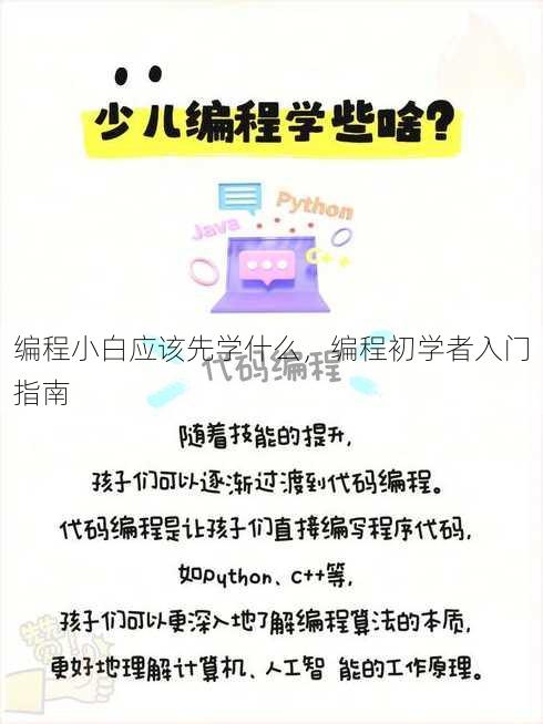 编程小白应该先学什么