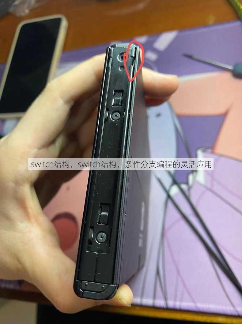 switch结构