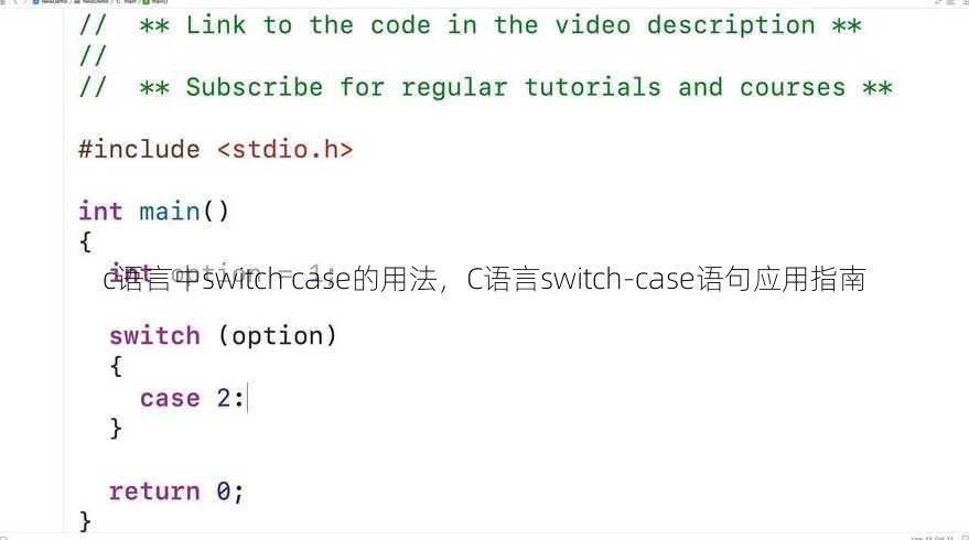 c语言中switch case的用法
