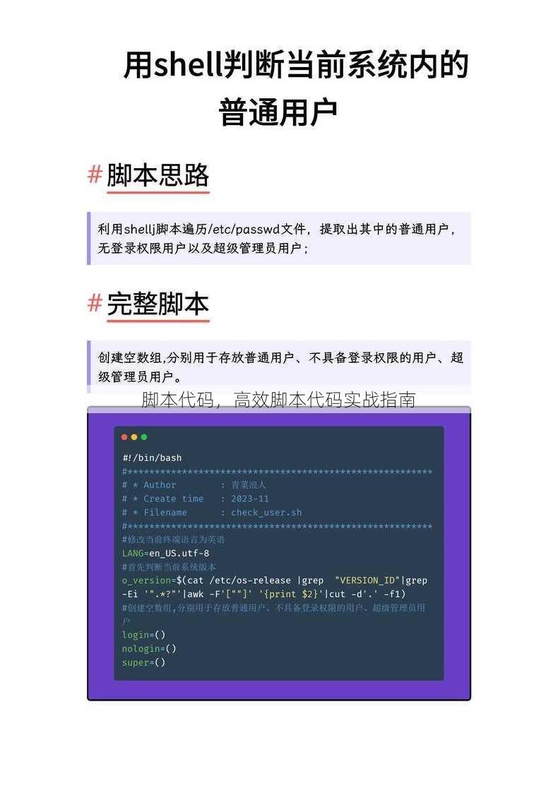 脚本代码