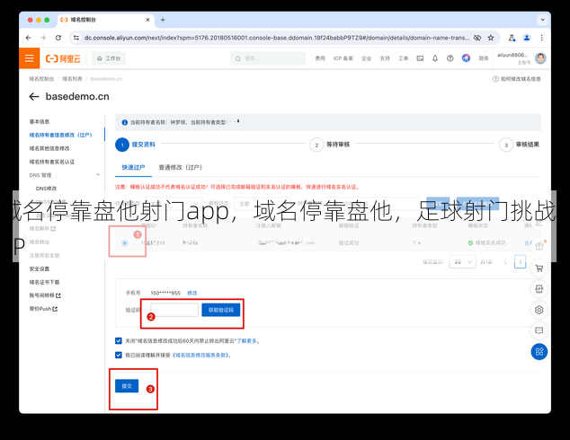 域名停靠盘他射门app