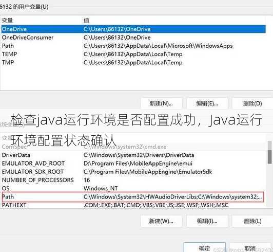 检查java运行环境是否配置成功
