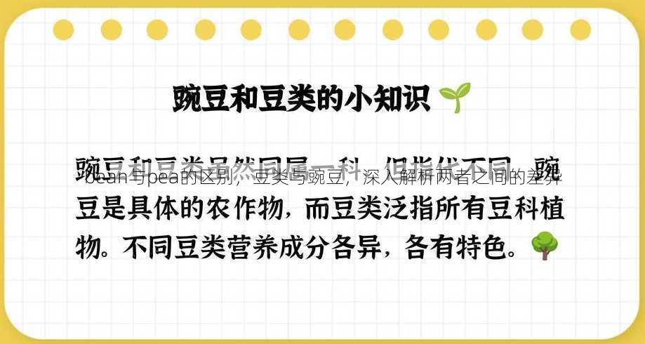 bean与pea的区别