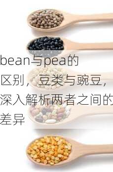 bean与pea的区别