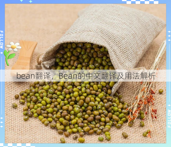 bean翻译