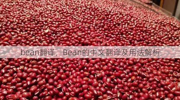 bean翻译
