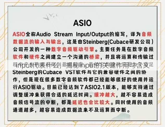 input代表什么