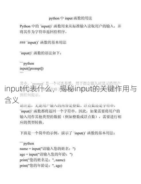 input代表什么