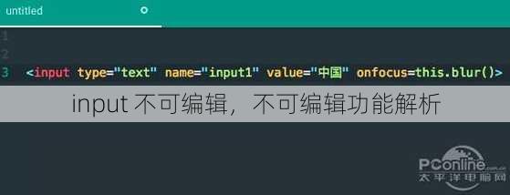 input 不可编辑