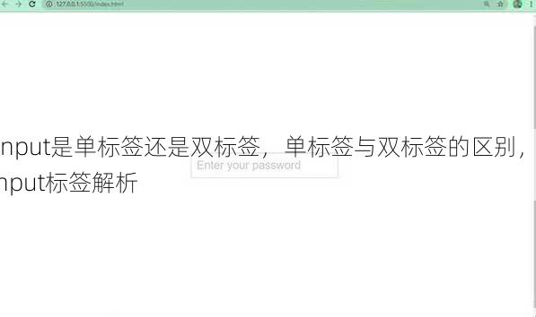 input是单标签还是双标签
