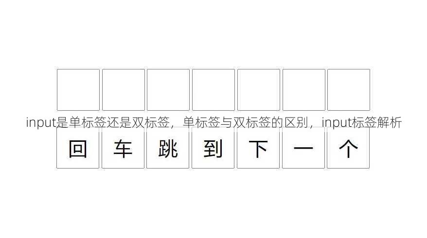 input是单标签还是双标签