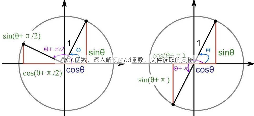 read函数